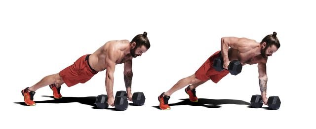 Weights, press up, arm, exercise equipment, kettlebell, muscle, physical fitness, chest, dumbbell, professional fitness,