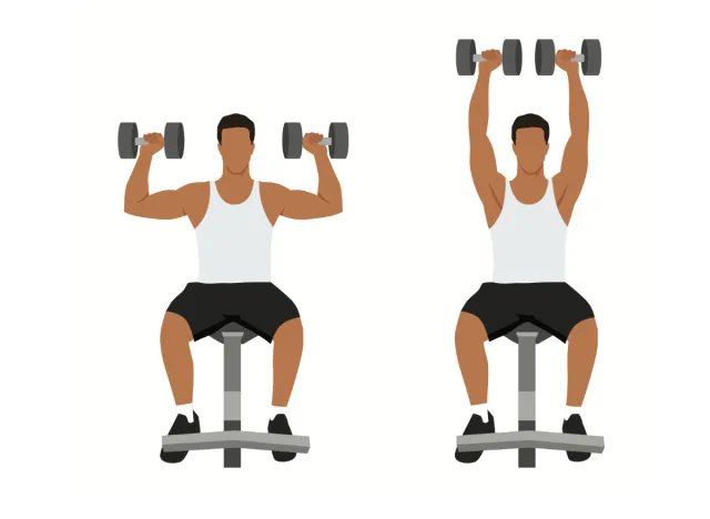 seated dumbbell press, strength exercises concept for men