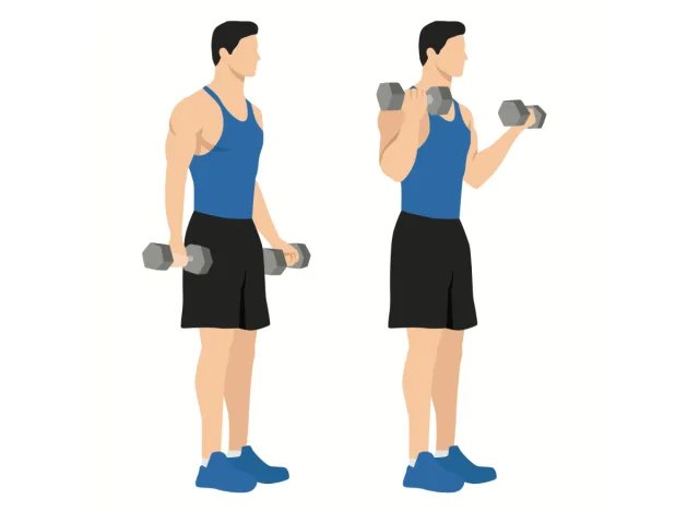 man dumbbell biceps curls, concept of strength exercises for men