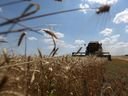 A combine harvester reaps wheat in a field near Novosofiivka village, Mykolaiv region, Ukraine July 4, 2023.