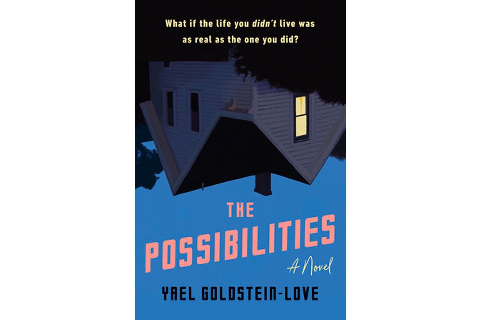 The cover of the novel The Possibilities.