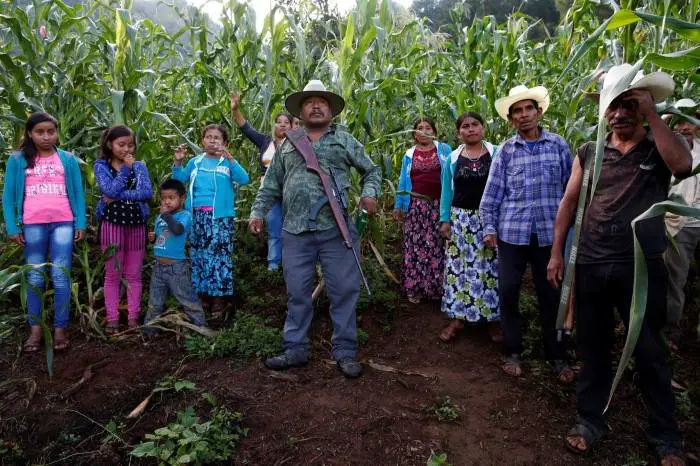 Poppy farmers and their families in a field in Mexico