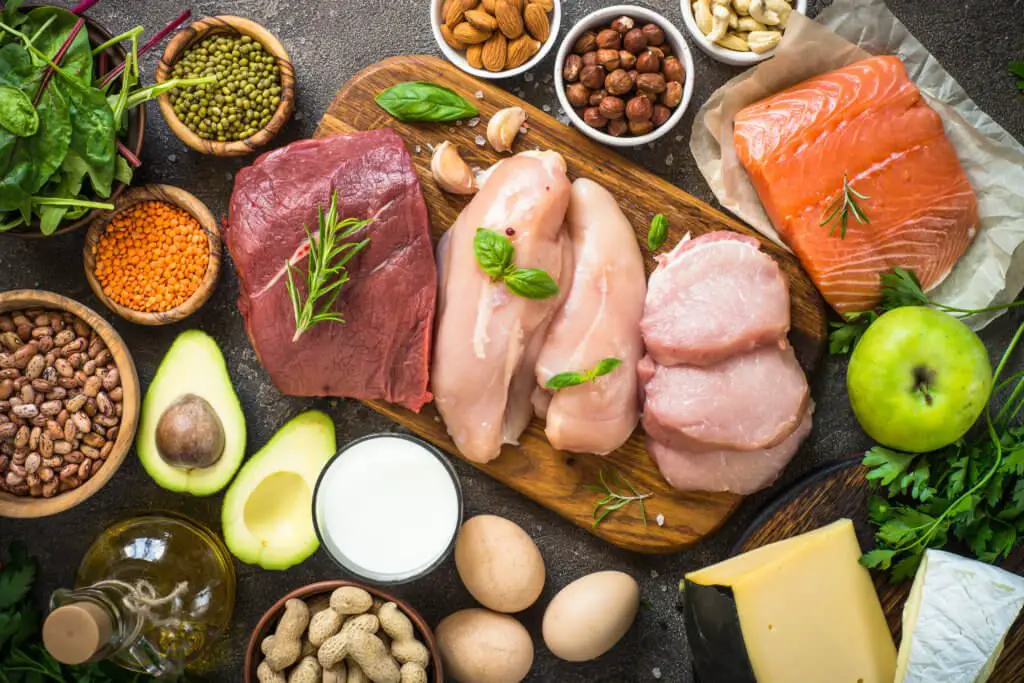 Protein sources: meat, fish, cheese, nuts, beans and vegetables.