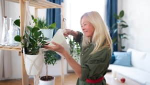 WATERING THE PLANTS